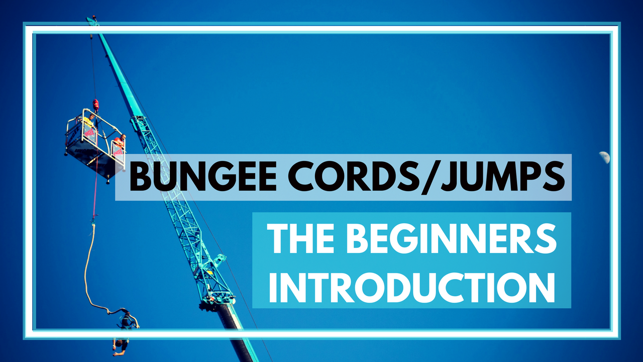 what is a bungee cord