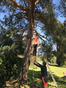 how to make a rope ladder